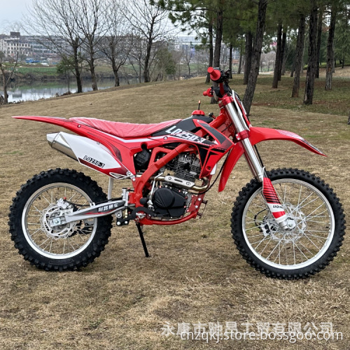 CQZQ RECARGABILE MINI BIKE MINI BIKE STREET MOTORYCLES